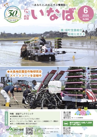 広報いなば2025年6月号